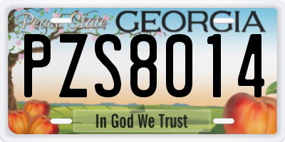 GA license plate PZS8014