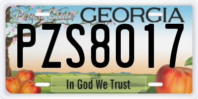 GA license plate PZS8017