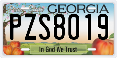 GA license plate PZS8019