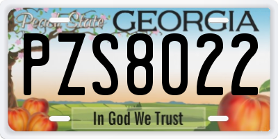 GA license plate PZS8022
