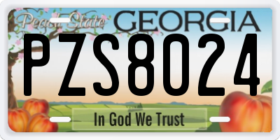 GA license plate PZS8024