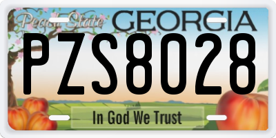 GA license plate PZS8028
