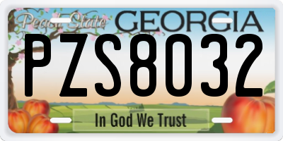 GA license plate PZS8032