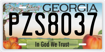 GA license plate PZS8037