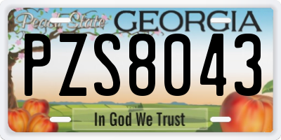 GA license plate PZS8043