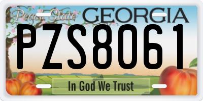 GA license plate PZS8061