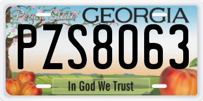GA license plate PZS8063