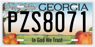 GA license plate PZS8071