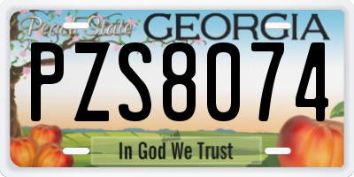 GA license plate PZS8074