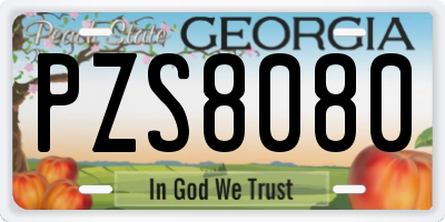 GA license plate PZS8080