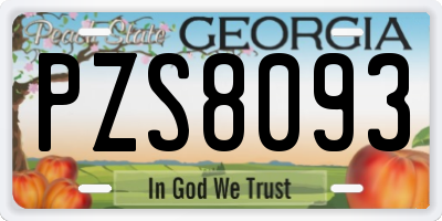GA license plate PZS8093