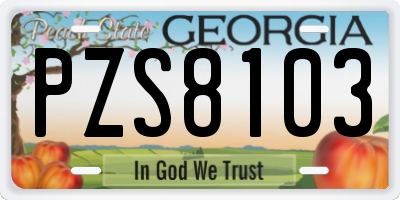 GA license plate PZS8103