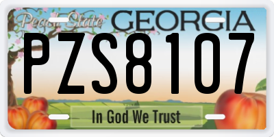 GA license plate PZS8107