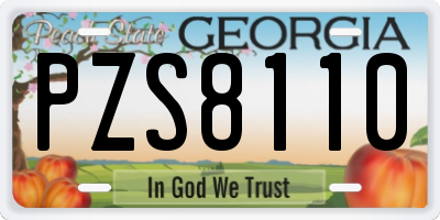 GA license plate PZS8110