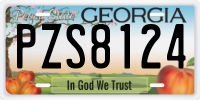 GA license plate PZS8124