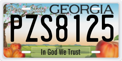 GA license plate PZS8125