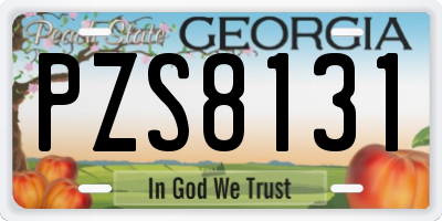 GA license plate PZS8131