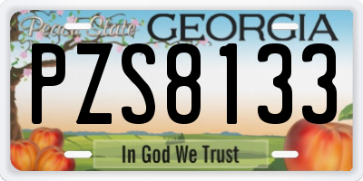 GA license plate PZS8133