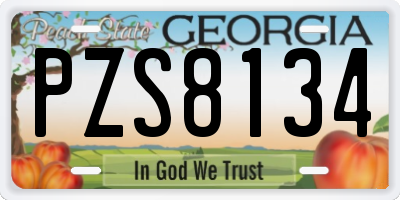 GA license plate PZS8134