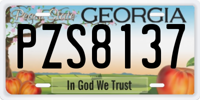 GA license plate PZS8137