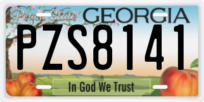 GA license plate PZS8141