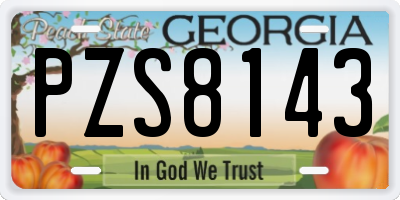 GA license plate PZS8143