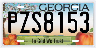 GA license plate PZS8153