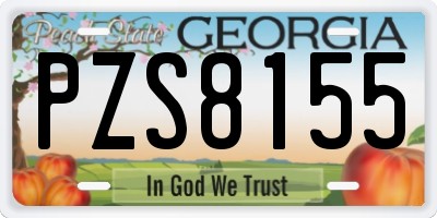 GA license plate PZS8155
