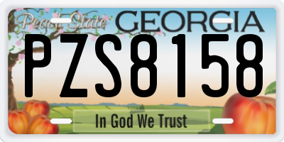 GA license plate PZS8158