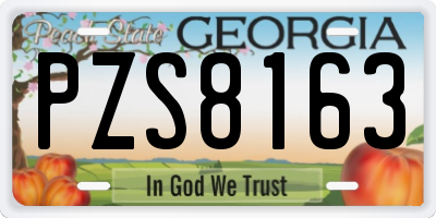 GA license plate PZS8163