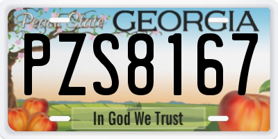 GA license plate PZS8167
