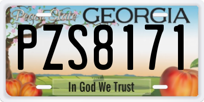 GA license plate PZS8171