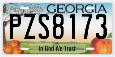GA license plate PZS8173