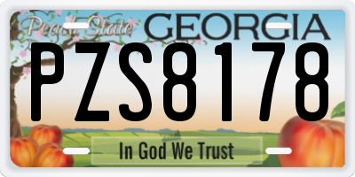 GA license plate PZS8178