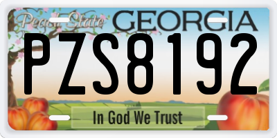 GA license plate PZS8192