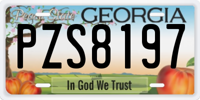 GA license plate PZS8197