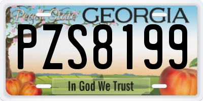 GA license plate PZS8199