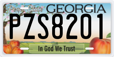 GA license plate PZS8201