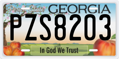 GA license plate PZS8203