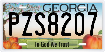 GA license plate PZS8207