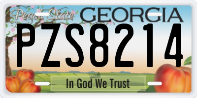 GA license plate PZS8214