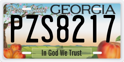 GA license plate PZS8217