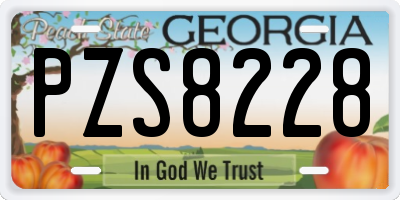 GA license plate PZS8228