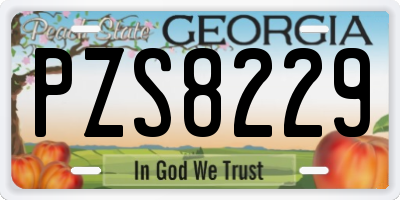GA license plate PZS8229