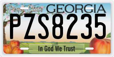 GA license plate PZS8235