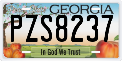 GA license plate PZS8237