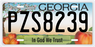 GA license plate PZS8239