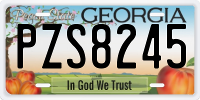 GA license plate PZS8245