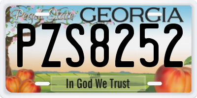 GA license plate PZS8252