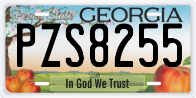 GA license plate PZS8255
